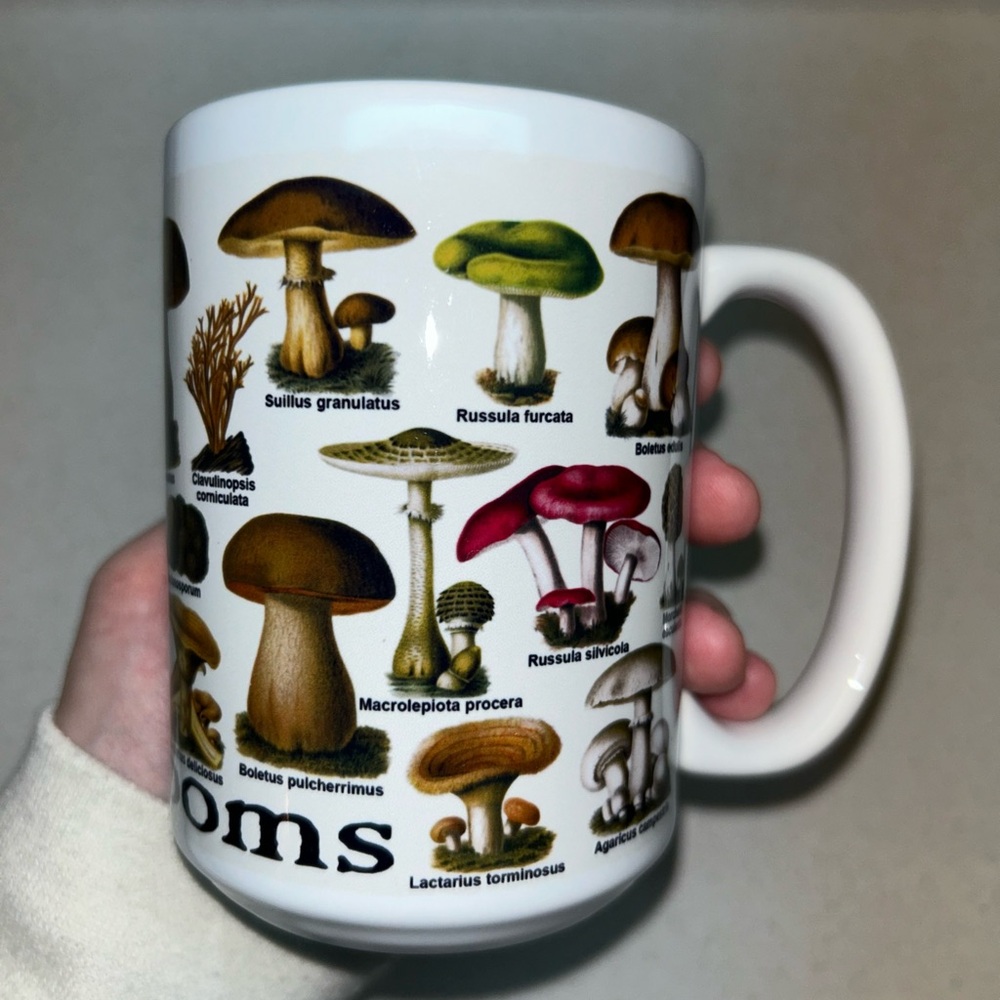 Mushroom Illustration White Ceramic Mug